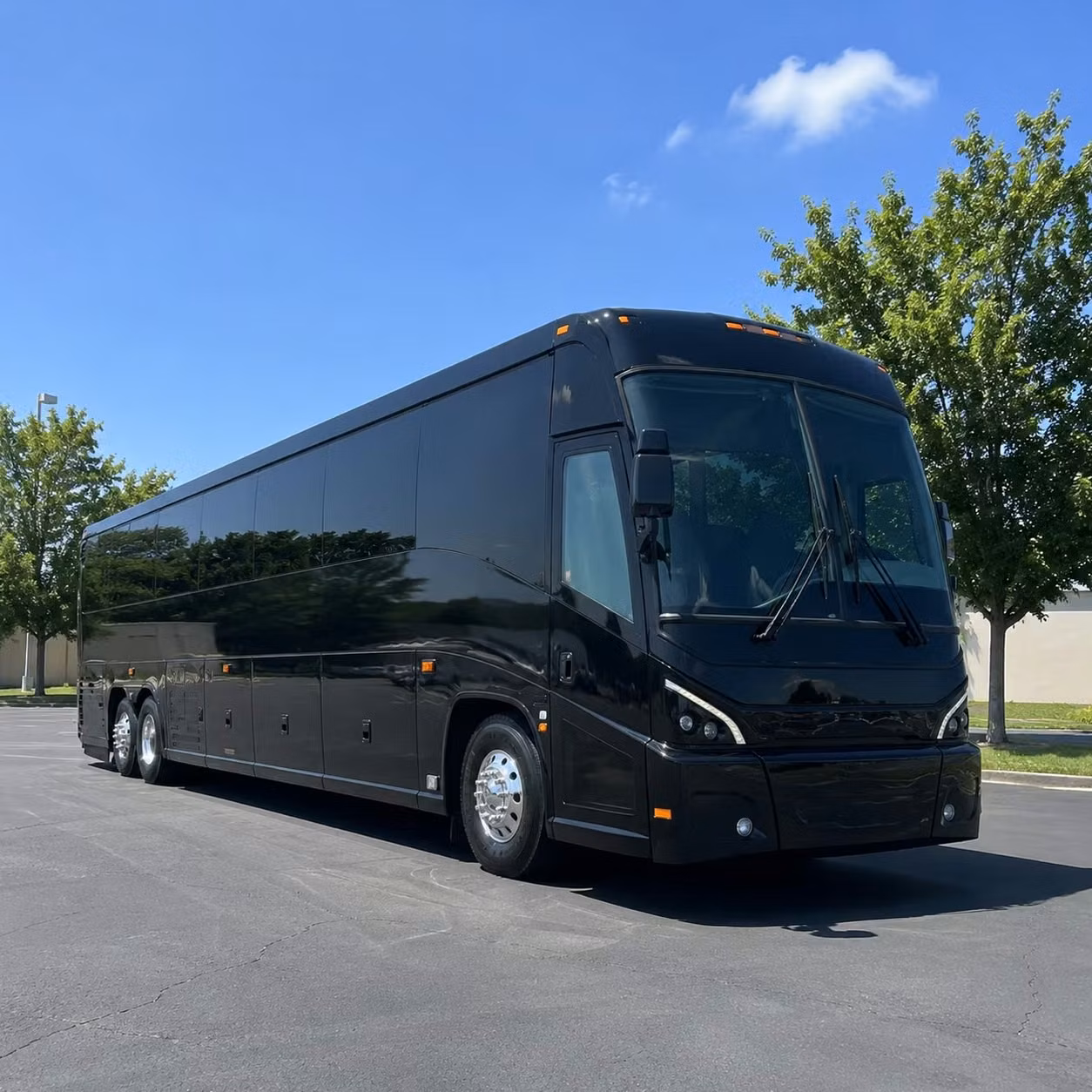 56 passenger charter bus